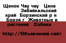 Щенок Чау чау › Цена ­ 22 000 - Забайкальский край, Борзинский р-н, Борзя г. Животные и растения » Собаки   